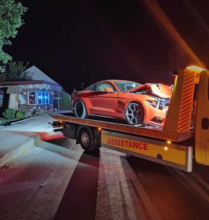 mustang na lawecie