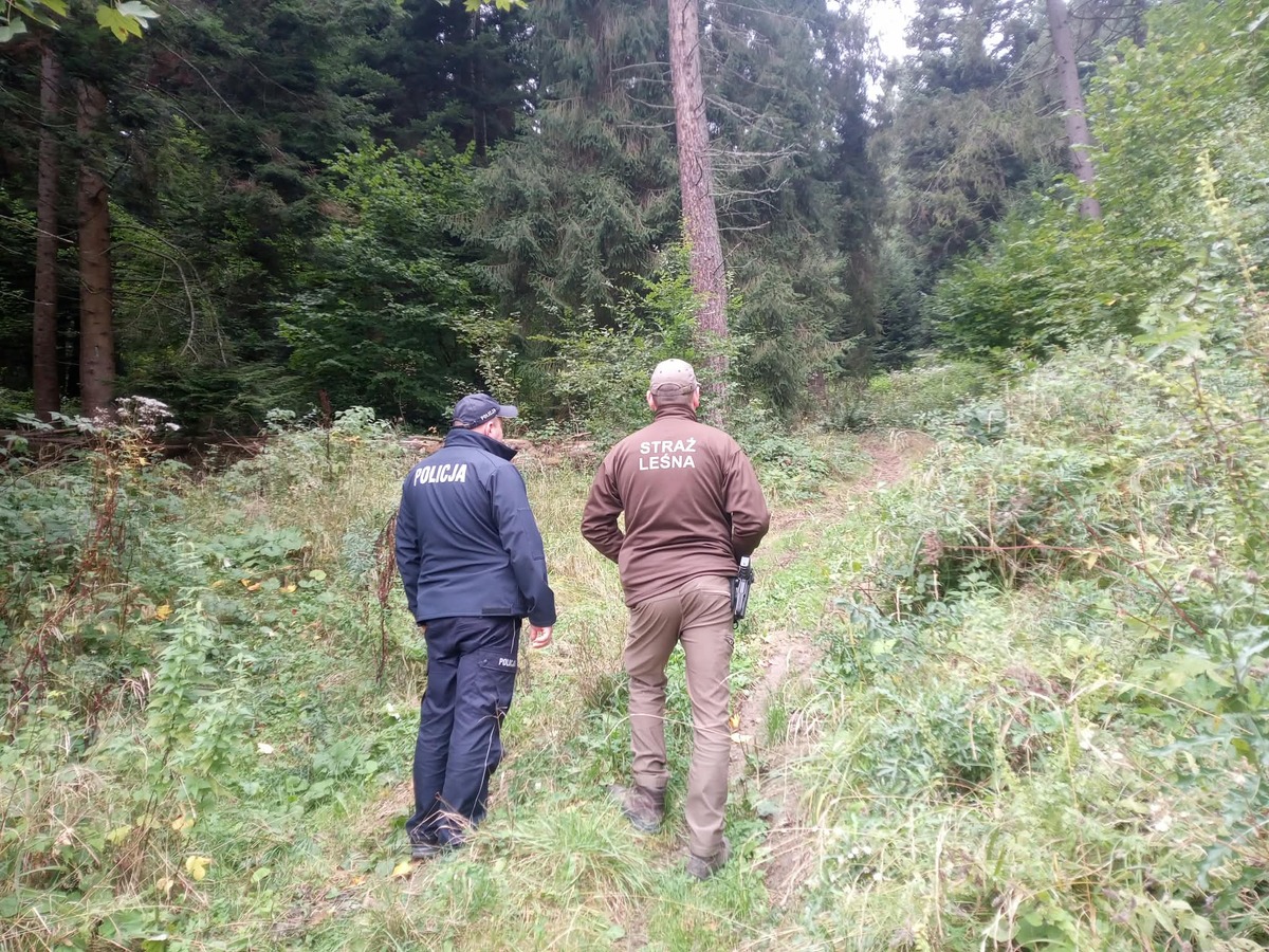 Akcja „Jesień 26” w Ustrzykach – policja i Straż Leśna patrolują lasy do 18